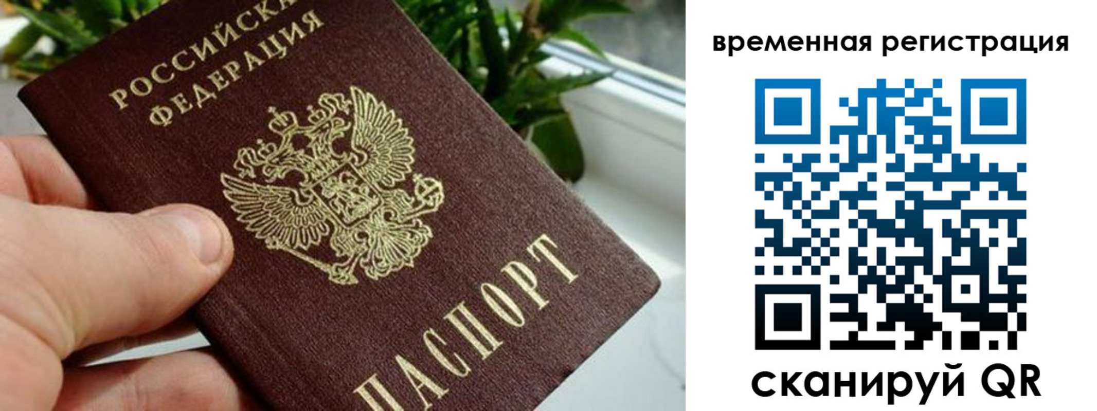 прописка поиск в Благовещенске